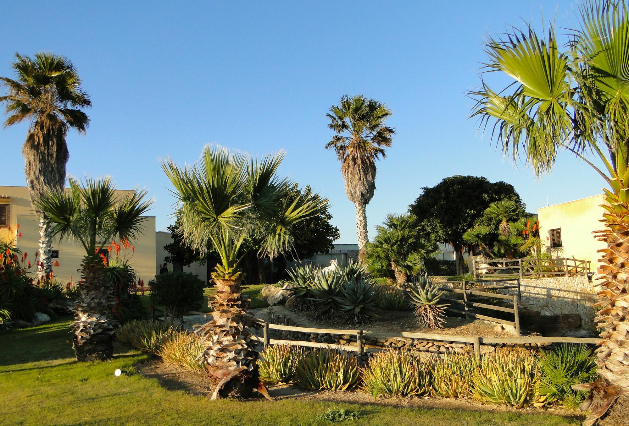 Gasthaus Il Giardino Delle Aloe Favignana Exterior foto