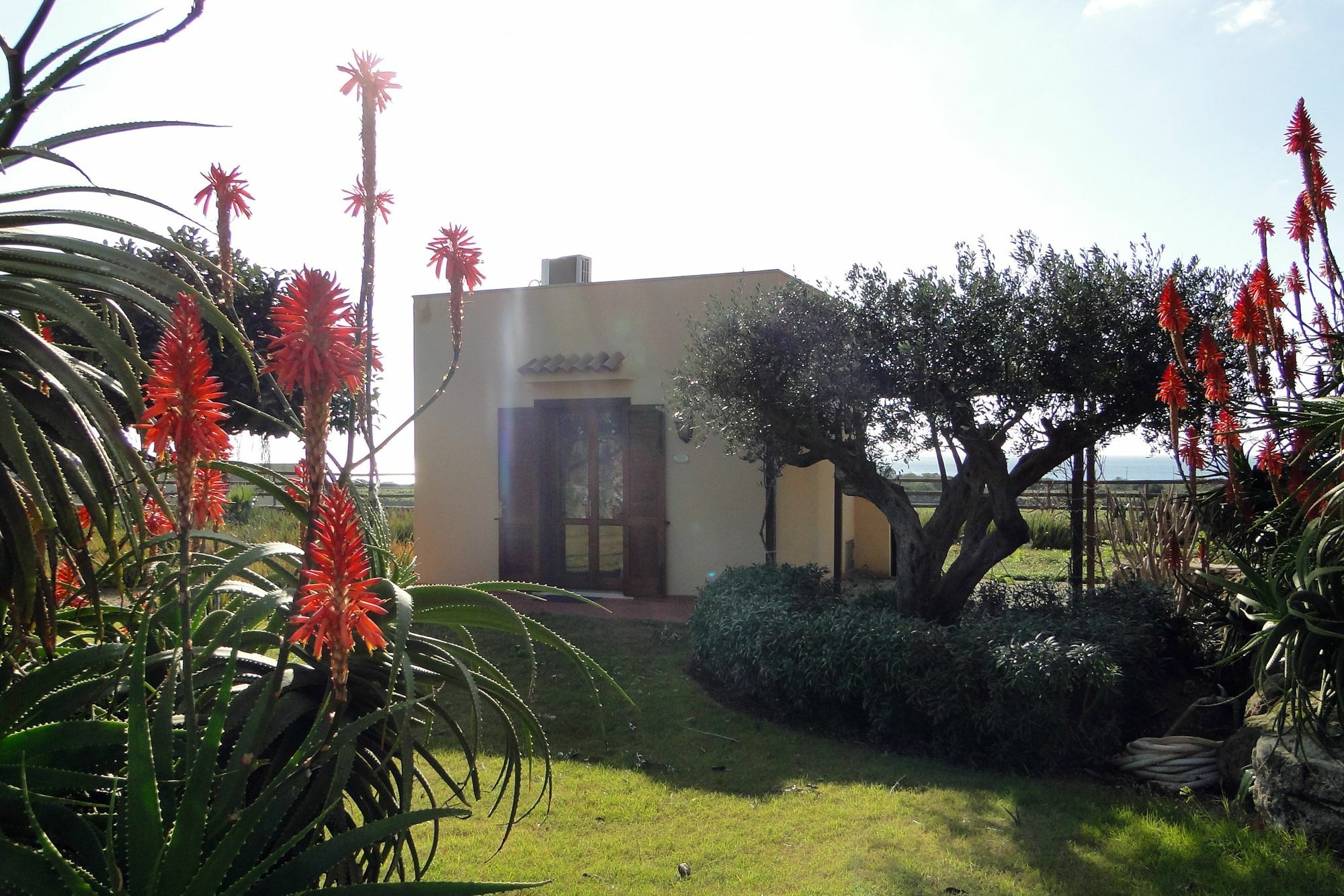 Gasthaus Il Giardino Delle Aloe Favignana Exterior foto